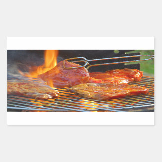 grillen rechthoekige sticker