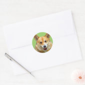Grilles "Jazz" Welsh Corgi Pour Stickers Fido (Enveloppe)