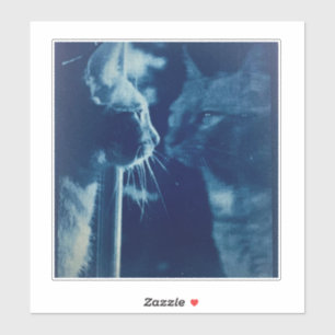 grillige Blue Bubba Kat Fotografie Sticker