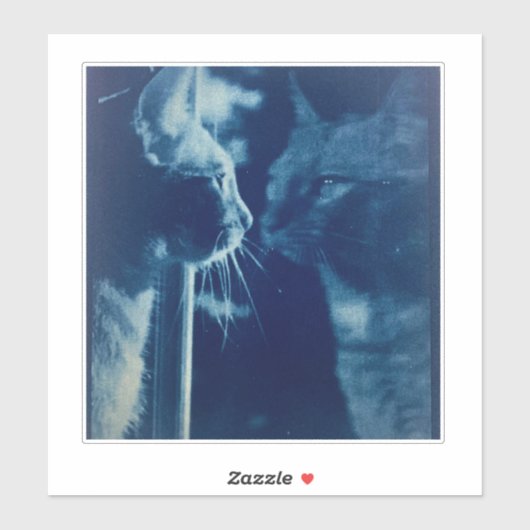 grillige Blue Bubba Kat Fotografie Sticker (Vel)