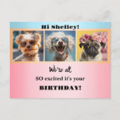 Grillige Meisjesachtige Grappige Foto's Pastelkleu Briefkaart (Voorkant)