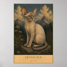 Grillige Schoonheid: Devon Rex