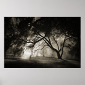 GRIMM'S FOREST Poster (Voorkant)