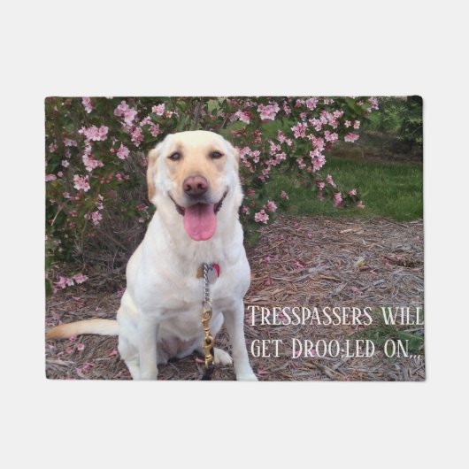 Grin Deurmat (Voorkant)