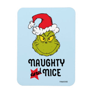 Grinch   Naughty & Nice Magneet
