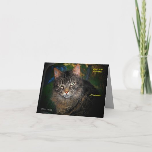 GRINCHEUSE EST une carte d'anniversaire de MODE DE (Devant)