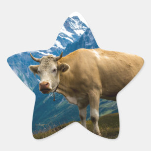 Grindelwald Cow - Bernese Alps - Zwitserland Ster Sticker