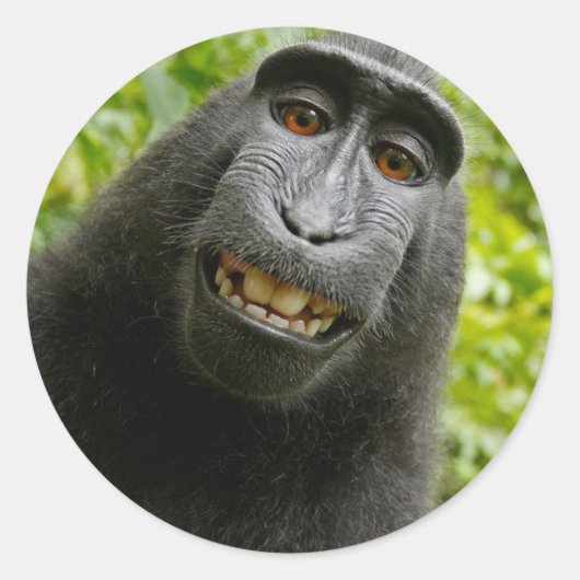 Grinning-aap Ronde Sticker (Voorkant)