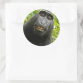 Grinning-aap Ronde Sticker (Tas)