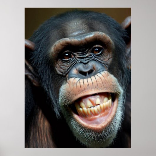 Grinning Chimpansee Poster (Voorkant)