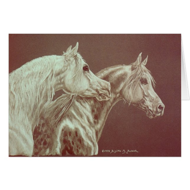 Gris (Devant Horizontal)