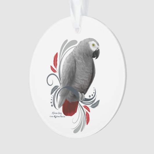 Gris africain (devant)