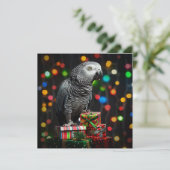 Gris africain sur les cadeaux — Carte de vœux fest (Debout devant)