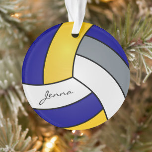 Gris, blanc, or et volleyball bleu