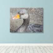 Gris canard vers le haut gros papier de toile (Insitu (Plancher de Bois))