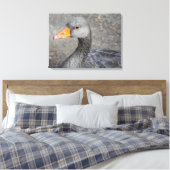 Gris canard vers le haut gros papier de toile (Insitu(Chambre))