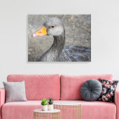 Gris canard vers le haut gros papier de toile (Insitu(Salon))