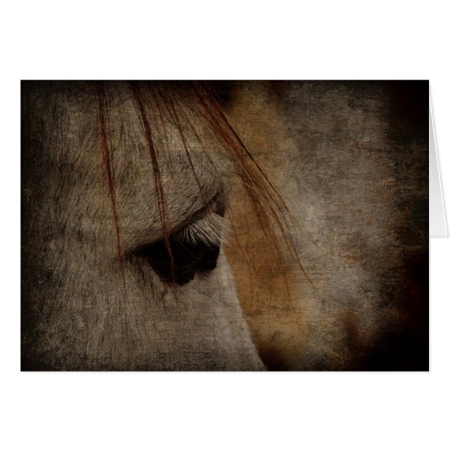 Gris Cheval Face Grunge (Devant horizontal)