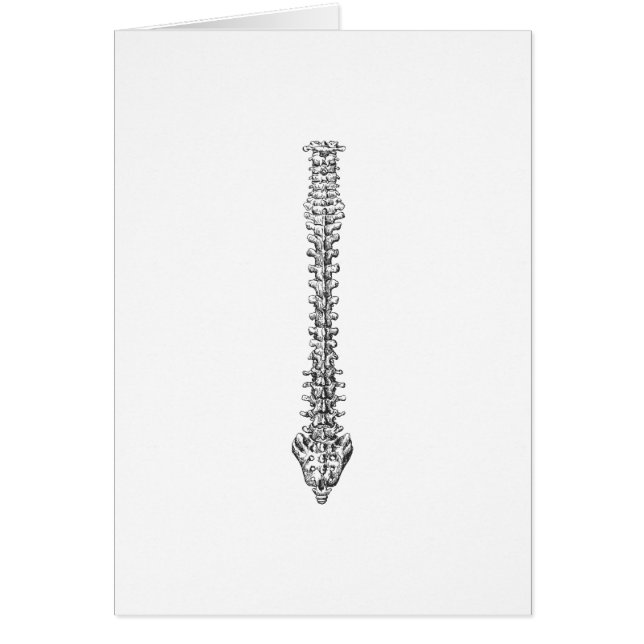 Gris d'épine (Devant)