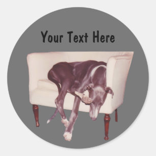Gris Dormir Dans Chaise Drôle Sticker Chien