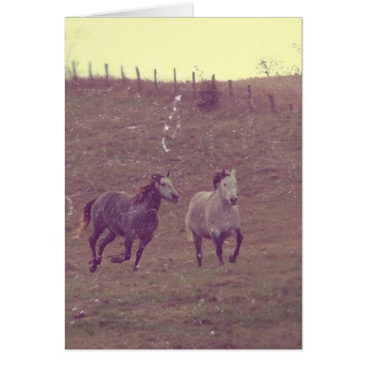 Gris Gallop Grunge (Devant)