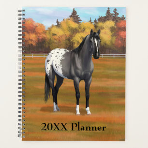 Gris Grulla Appaloosa Quartier Horse Stallion