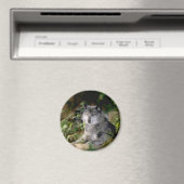 Gris loup aimant (In Situ (Lave-vaisselle))