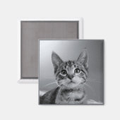 Gris Tabby Kitten Magnet (Recto/Verso)