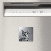 Gris Tabby Kitten Magnet (In Situ (Lave-vaisselle))