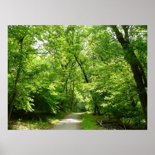 Grist Mill Trail I Poster (Voorkant)