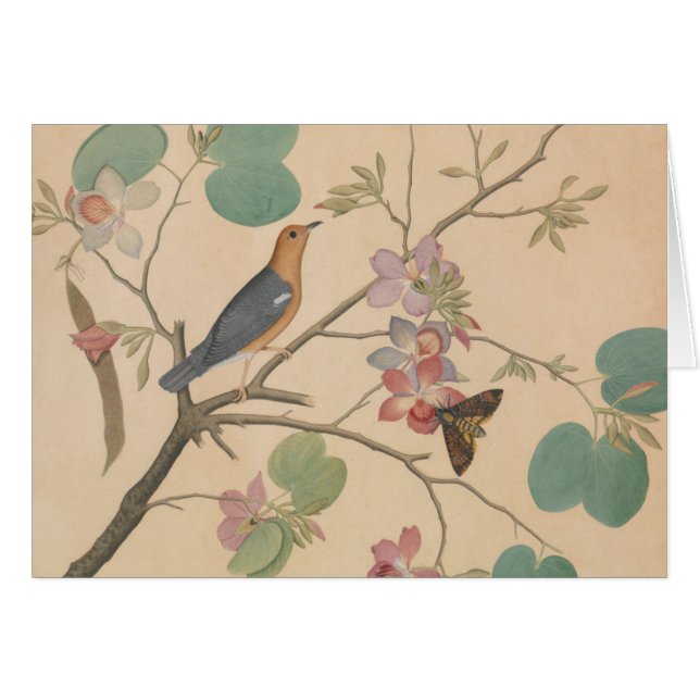 Grive au sol et papillon sur une branche d'orchidé (Devant horizontal)