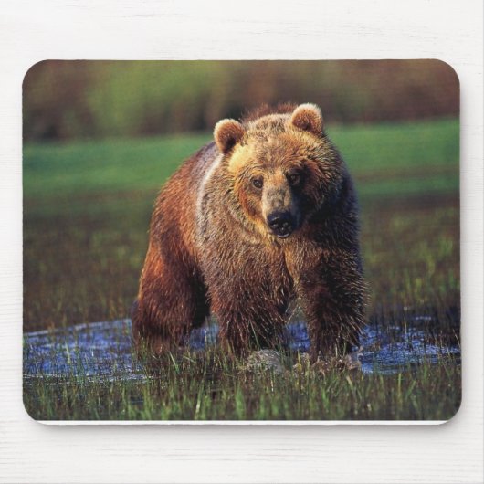 GRIZZELF IN WATERMOUSEPAD MUISMAT (Voorkant)
