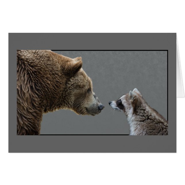 Grizzle Bear rencontre Raccoon (Devant horizontal)