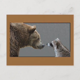 Grizzle Beer ontmoet Raccoon Briefkaart
