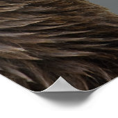 Grizzle ontmoet Raccoon Poster (Hoek)