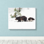 Grizzlies dans la toile étanche à neige (Insitu (Plancher de Bois))
