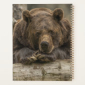Grizzly Bear (Dos)
