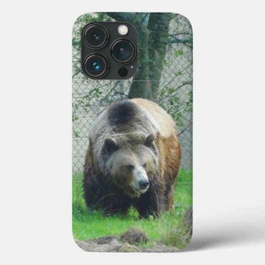 Grizzly Bear #1 iPhone 13 Pro Coque (Verso)