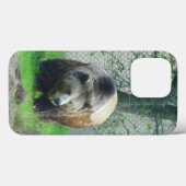 Grizzly Bear #1 iPhone 13 Pro Coque (Verso (horizontal))