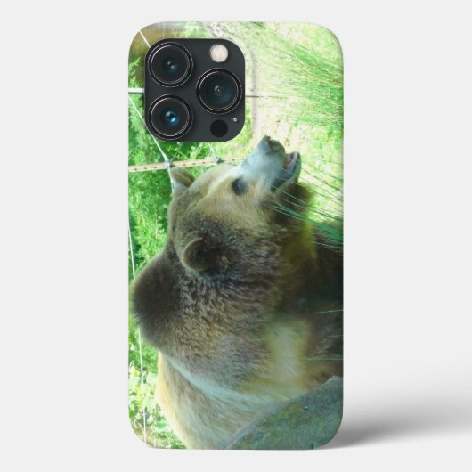 Grizzly Bear #3 iPhone 13 Pro Coque (Verso)