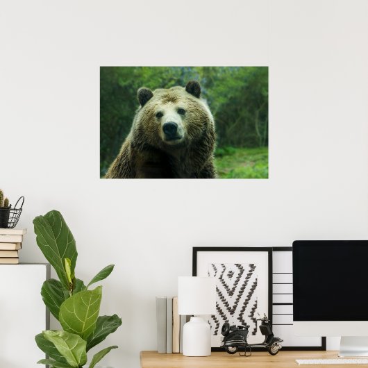 Grizzly Bear Close-Up Poster (Thuiskantoor)