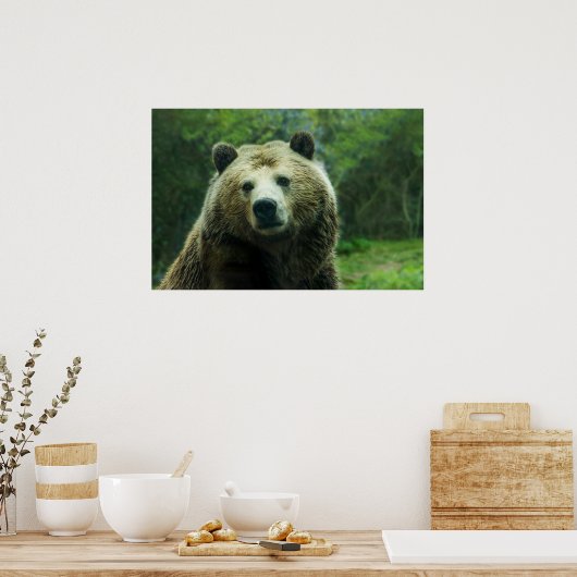 Grizzly Bear Close-Up Poster (Keuken)