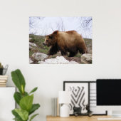 Grizzly Bear Poster (Bureau à domicile)