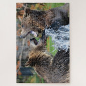 Grizzly Bears Combattez Jigsaw Puzzle (Vertical)
