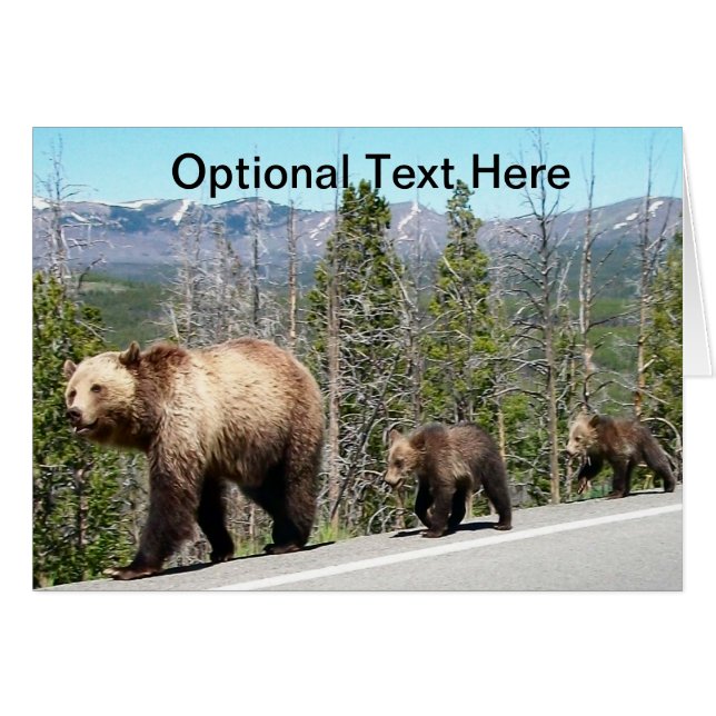 Grizzly Bears of Yellowstone (Devant Horizontal)