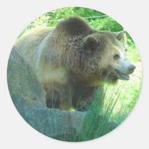 Grizzly Beer #3 Sticker