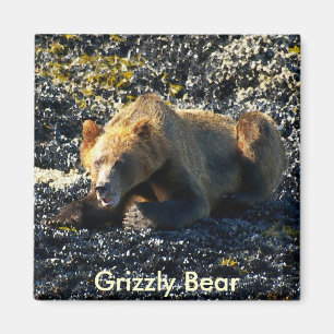 Grizzly Beer Art Magneet