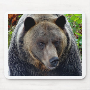 Grizzly Beer Close-up Muismat