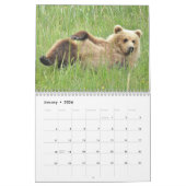 Grizzly beer cubs van Alaska kalender (Jan 2026)