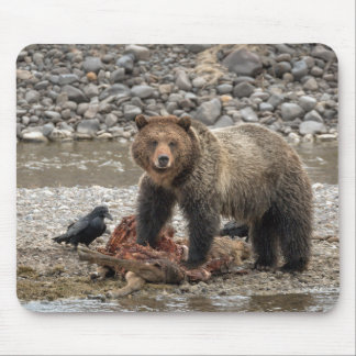 Grizzly Beer en Raven Muismat